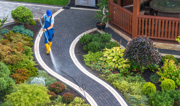 Best Commercial Building Pressure Washing  in Mount Pocono, PA