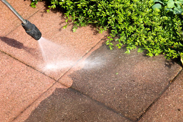 Best Affordable Pressure Washing  in Mount Pocono, PA